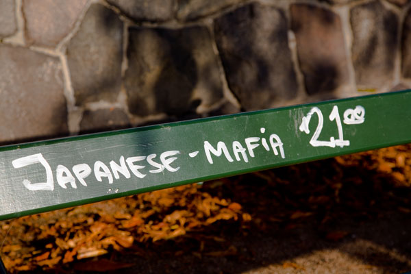 Japanese mafia